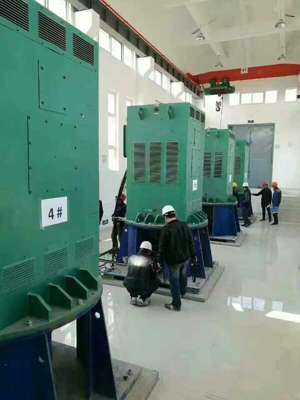 JR500L1-6某污水处理厂使用我厂的立式高压电机安装现场