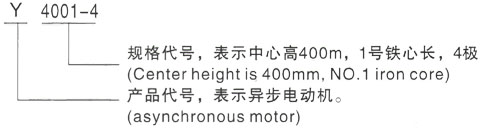 西安泰富西玛Y系列(H355-1000)高压JR500L1-6三相异步电机型号说明